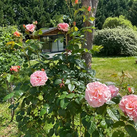 Alojamento de Acomodação e Pequeno-almoço Balicheri Varaignes