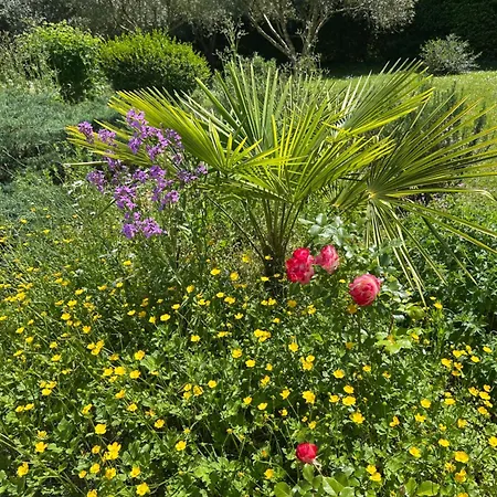 Balicheri Alojamento de Acomodação e Pequeno-almoço 3*
