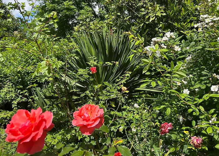 Balicheri 住宿加早餐酒店