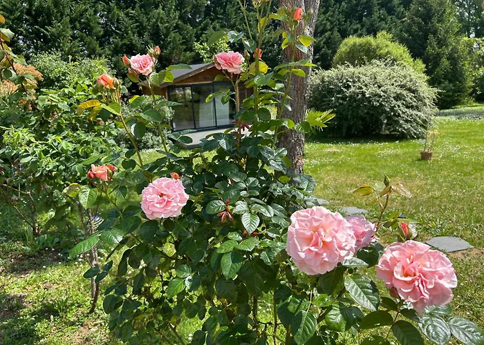 住宿加早餐酒店 Balicheri Varaignes