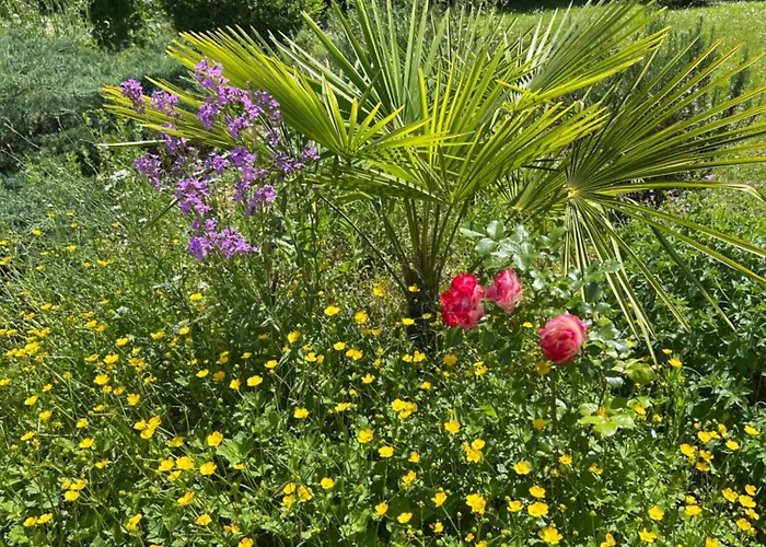 Balicheri 住宿加早餐酒店 3*